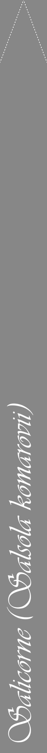 Étiquette de : Salsola komarovii - format b - style blanche12viv avec comestibilité - position verticale