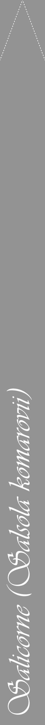 Étiquette de : Salsola komarovii - format b - style blanche44viv avec comestibilité - position verticale