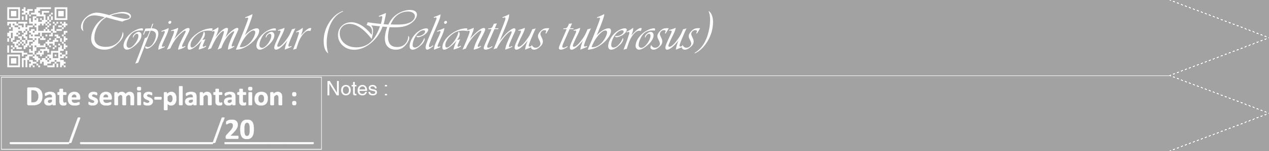 Étiquette de : Helianthus tuberosus - format b - style blanche38viv avec qrcode et comestibilité