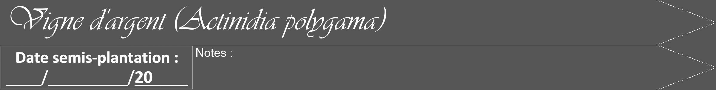 Étiquette de : Actinidia polygama - format b - style blanche45viv avec comestibilité