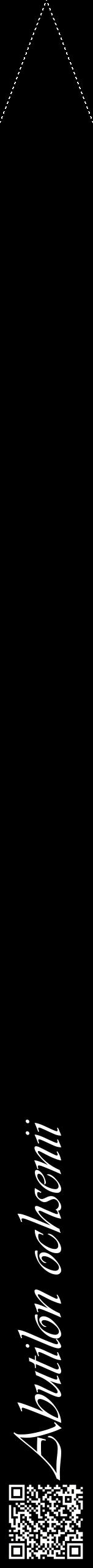 Étiquette de : Abutilon ochsenii - format b - style blanche59viv avec qrcode et comestibilité
