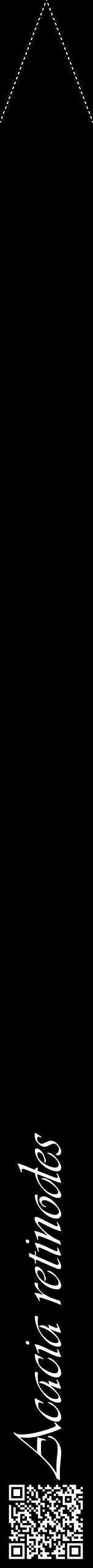 Étiquette de : Acacia retinodes - format b - style blanche59viv avec qrcode et comestibilité