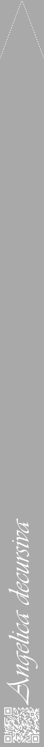 Étiquette de : Angelica decursiva - format b - style blanche13viv avec qrcode et comestibilité - position verticale