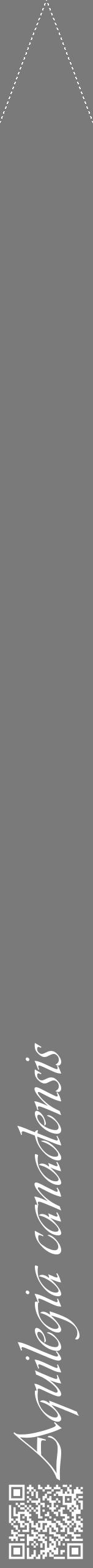 Étiquette de : Aquilegia canadensis - format b - style blanche3viv avec qrcode et comestibilité - position verticale