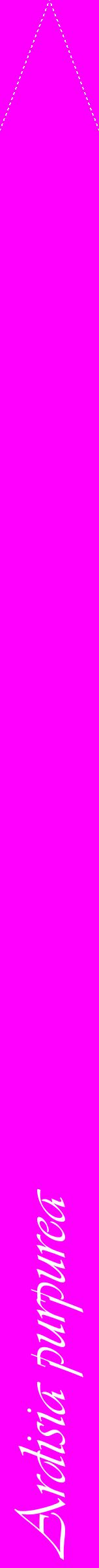 Étiquette de : Ardisia purpurea - format b - style blanche51viv avec comestibilité