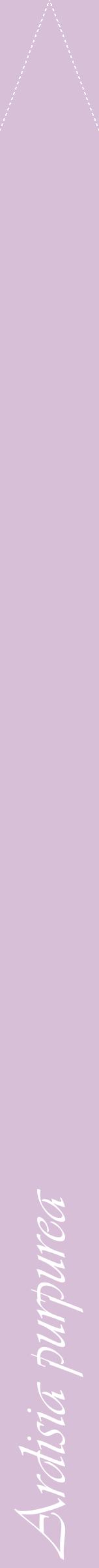 Étiquette de : Ardisia purpurea - format b - style blanche54viv avec comestibilité