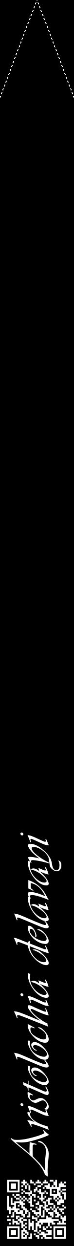 Étiquette de : Aristolochia delavayi - format b - style blanche59viv avec qrcode et comestibilité