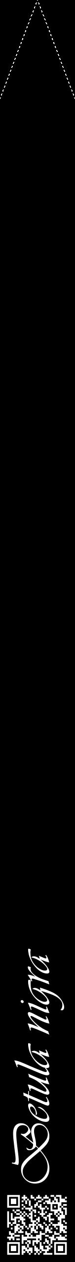 Étiquette de : Betula nigra - format b - style blanche59viv avec qrcode et comestibilité