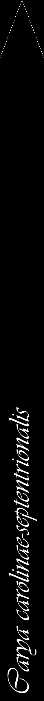 Étiquette de : Carya carolinae-septentrionalis - format b - style blanche59viv avec comestibilité