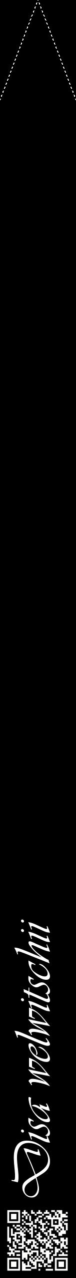 Étiquette de : Disa welwitschii - format b - style blanche59viv avec qrcode et comestibilité