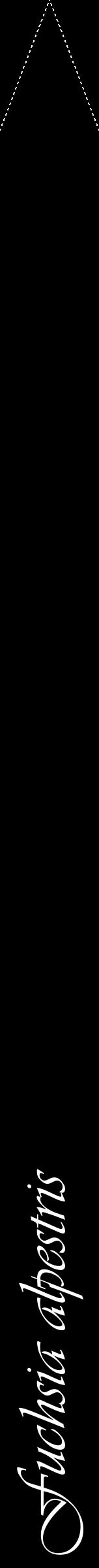 Étiquette de : Fuchsia alpestris - format b - style blanche59viv avec comestibilité