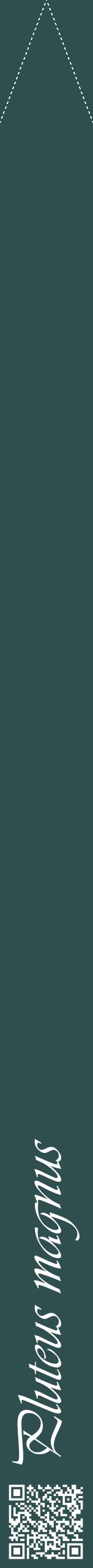 Étiquette de : Pluteus magnus - format b - style blanche58viv avec qrcode et comestibilité