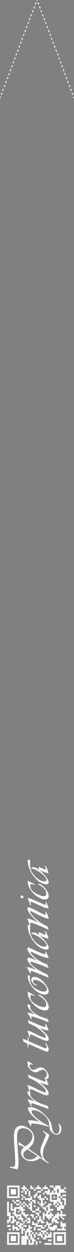 Étiquette de : Pyrus turcomanica - format b - style blanche57viv avec qrcode et comestibilité