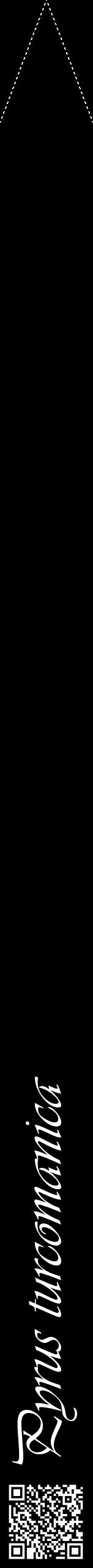 Étiquette de : Pyrus turcomanica - format b - style blanche59viv avec qrcode et comestibilité