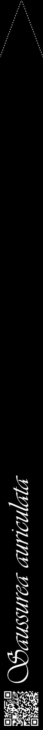 Étiquette de : Saussurea auriculata - format b - style blanche59viv avec qrcode et comestibilité