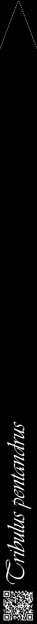 Étiquette de : Tribulus pentandrus - format b - style blanche59viv avec qrcode et comestibilité - position verticale