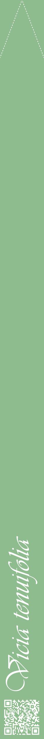 Étiquette de : Vicia tenuifolia - format b - style blanche13viv avec qrcode et comestibilité