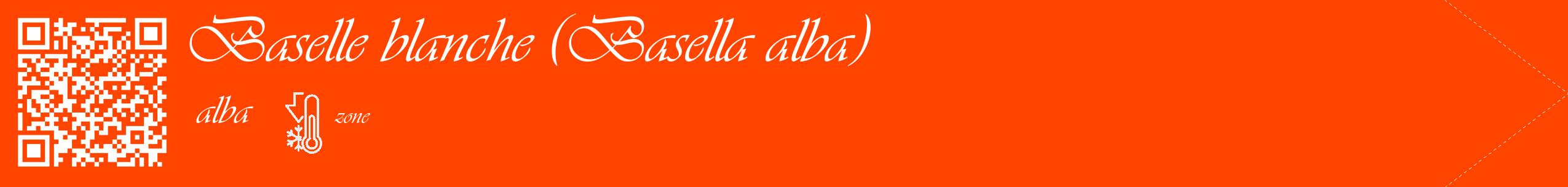 Étiquette de : Basella alba alba - format c - style blanche26_simple_simpleviv avec qrcode et comestibilité