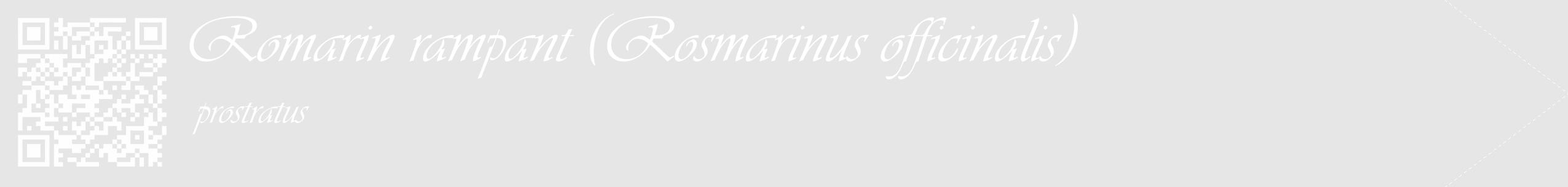 Étiquette de : Rosmarinus officinalis prostratus - format c - style blanche18_simple_simpleviv avec qrcode et comestibilité