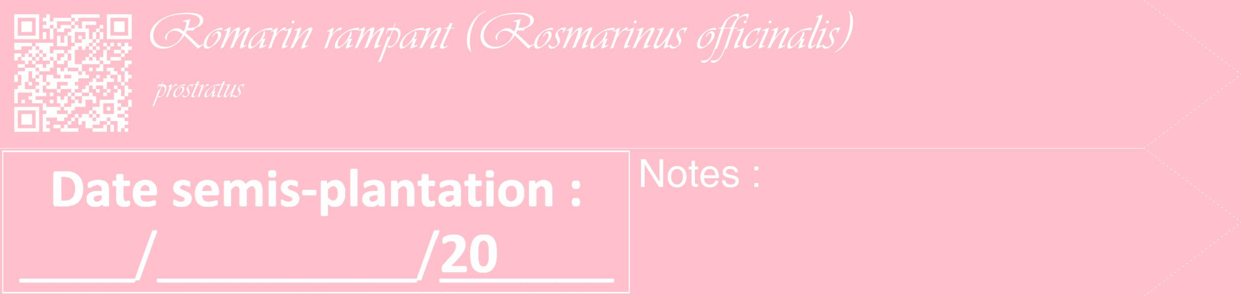 Étiquette de : Rosmarinus officinalis prostratus - format c - style blanche40_simple_simpleviv avec qrcode et comestibilité