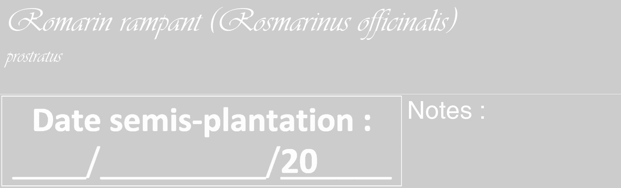 Étiquette de : Rosmarinus officinalis prostratus - format c - style blanche0_basique_basiqueviv avec comestibilité