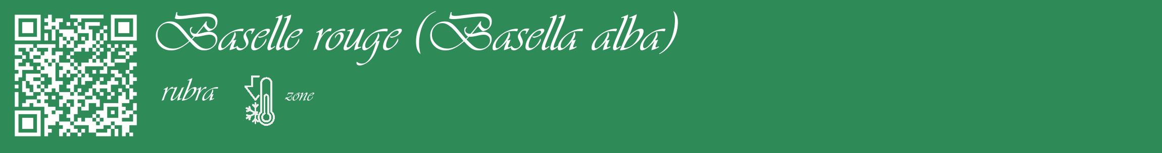 Étiquette de : Basella alba rubra - format c - style blanche11_basique_basiqueviv avec qrcode et comestibilité