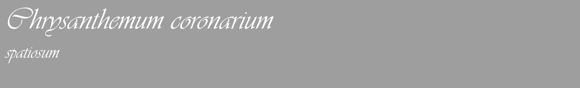 Étiquette de : Chrysanthemum coronarium spatiosum - format c - style blanche23_basique_basiqueviv avec comestibilité