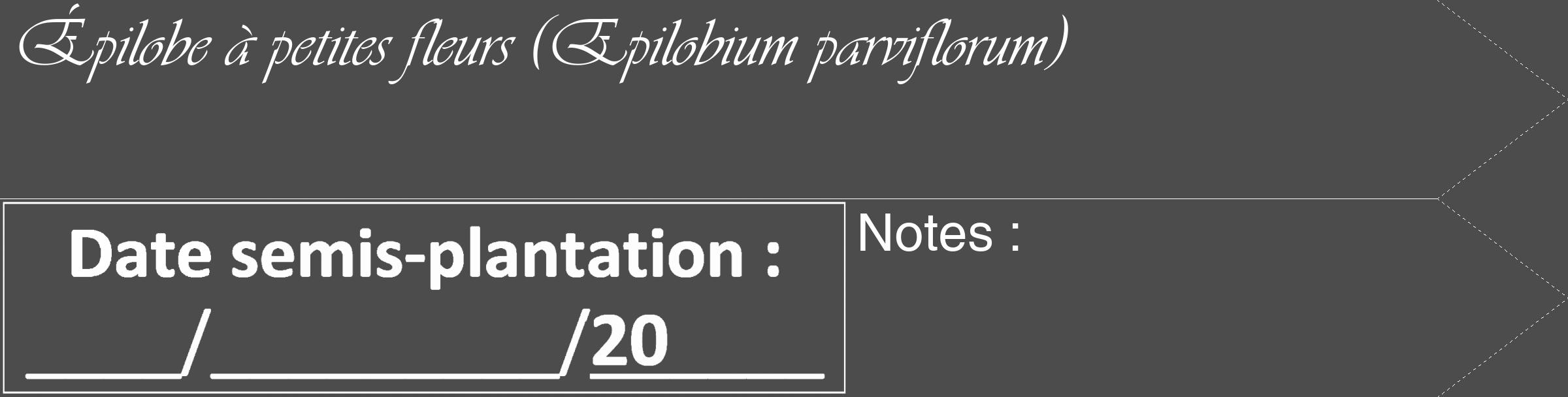 Étiquette de : Epilobium parviflorum - format c - style blanche27_simple_simpleviv avec comestibilité