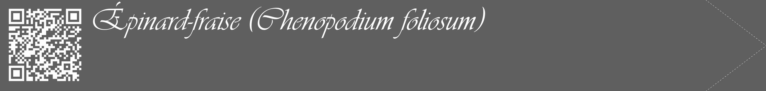 Étiquette de : Chenopodium foliosum - format c - style blanche10_simple_simpleviv avec qrcode et comestibilité