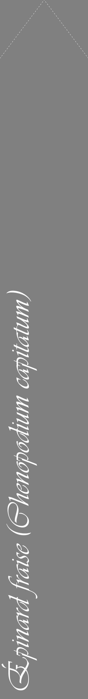 Étiquette de : Chenopodium capitatum - format c - style blanche57_simpleviv avec comestibilité
