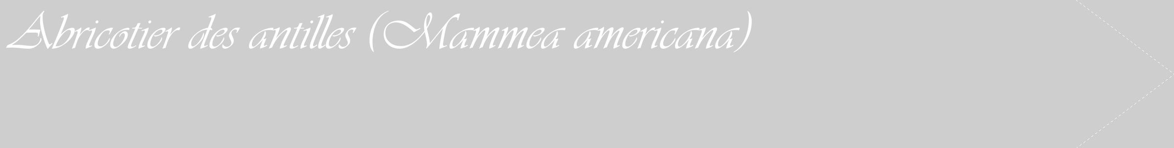 Étiquette de : Mammea americana - format c - style blanche17_simple_simpleviv avec comestibilité