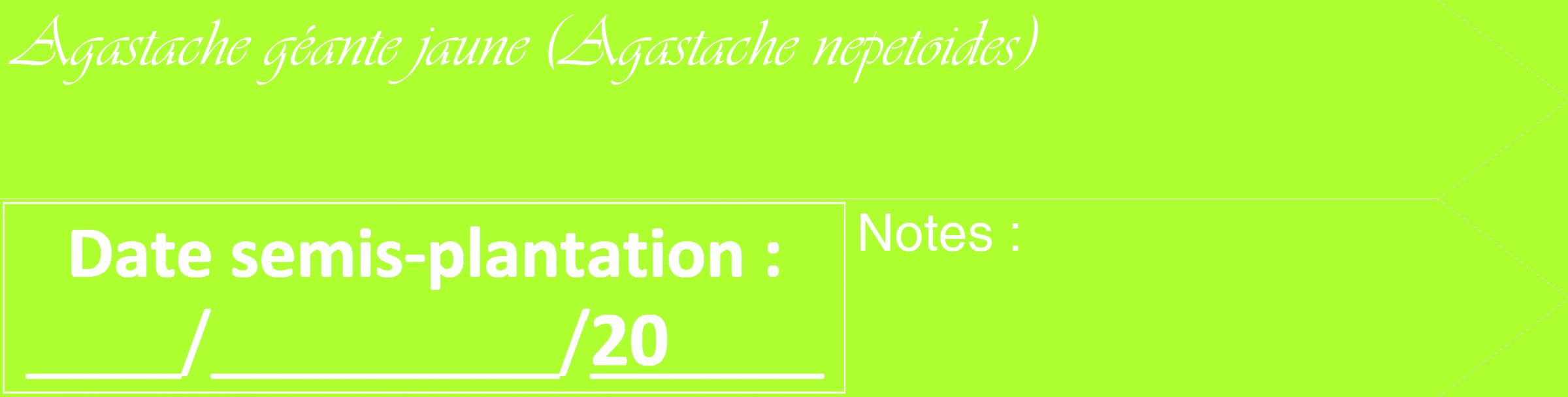 Étiquette de : Agastache nepetoides - format c - style blanche17_simple_simpleviv avec comestibilité