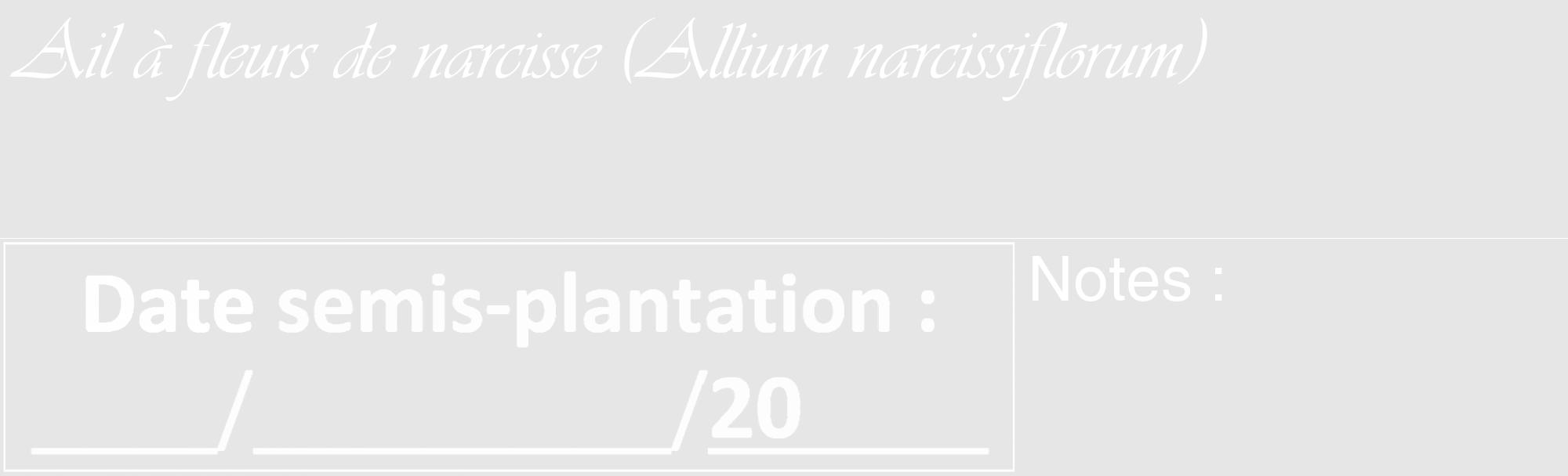 Étiquette de : Allium narcissiflorum - format c - style blanche18_basique_basiqueviv avec comestibilité