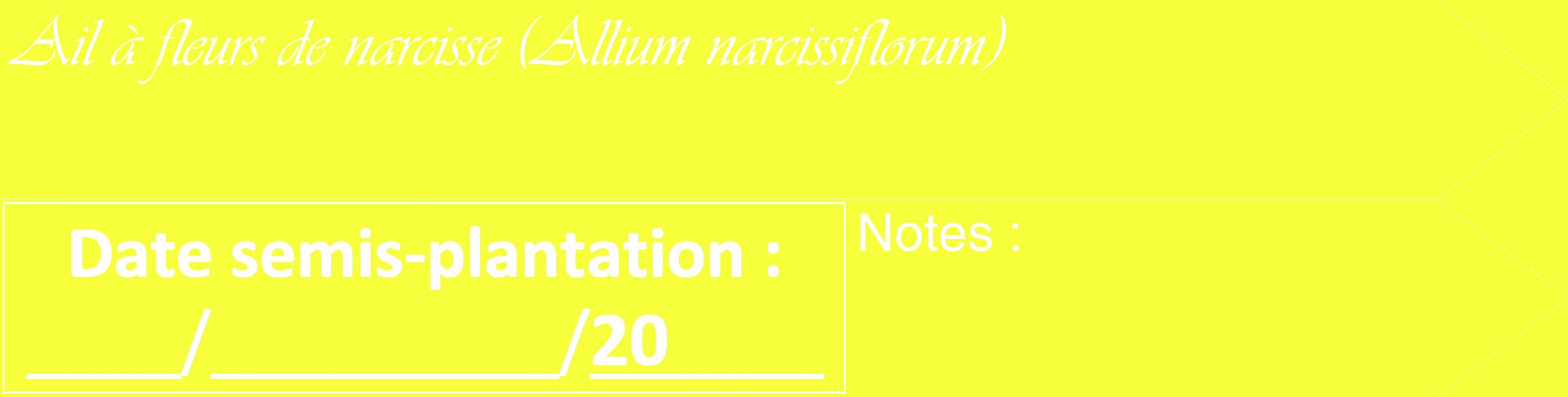 Étiquette de : Allium narcissiflorum - format c - style blanche18_simple_simpleviv avec comestibilité