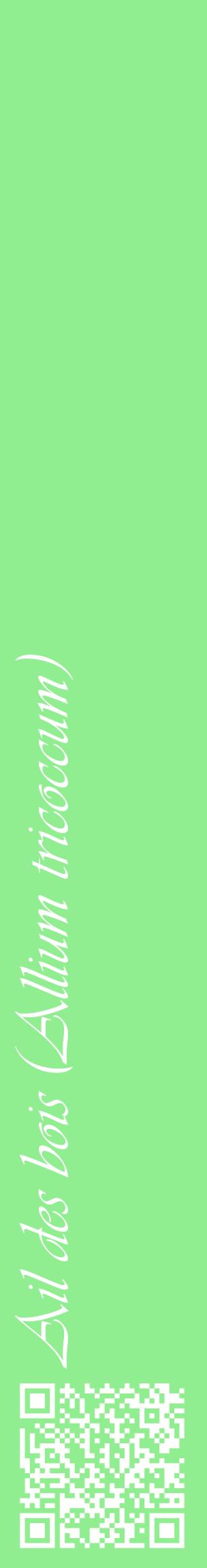 Étiquette de : Allium tricoccum - format c - style blanche15_basiqueviv avec qrcode et comestibilité