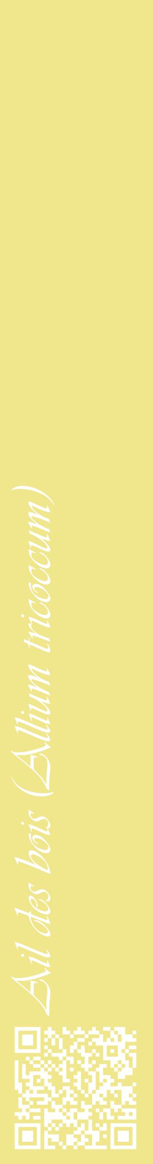 Étiquette de : Allium tricoccum - format c - style blanche20_basiqueviv avec qrcode et comestibilité