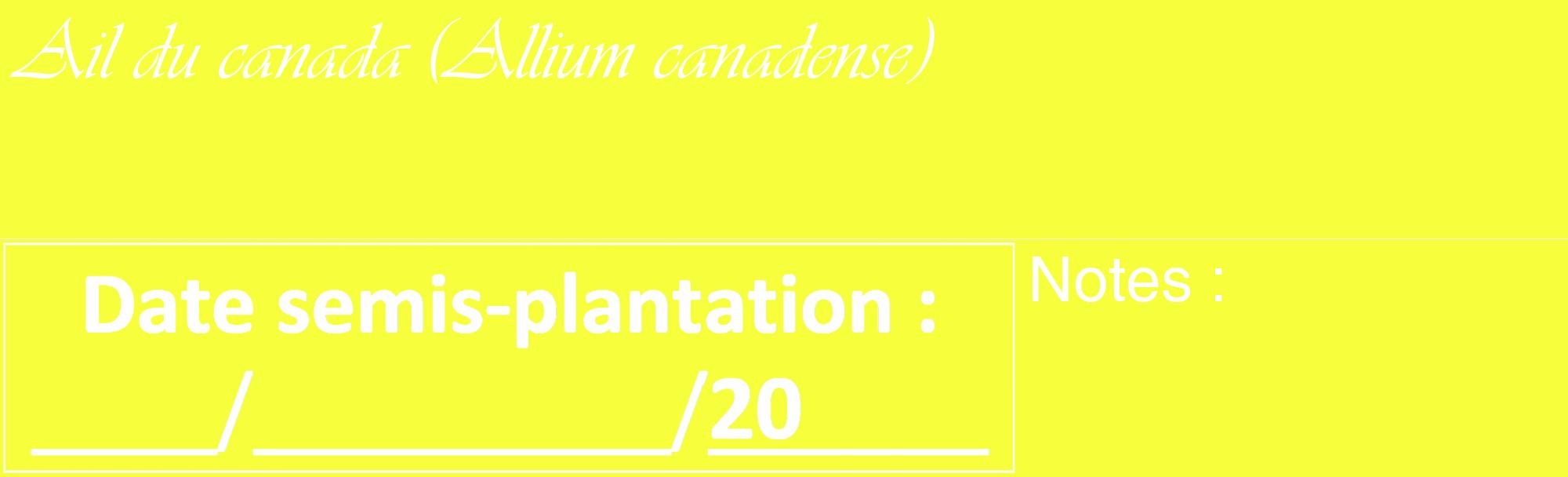 Étiquette de : Allium canadense - format c - style blanche18_basique_basiqueviv avec comestibilité
