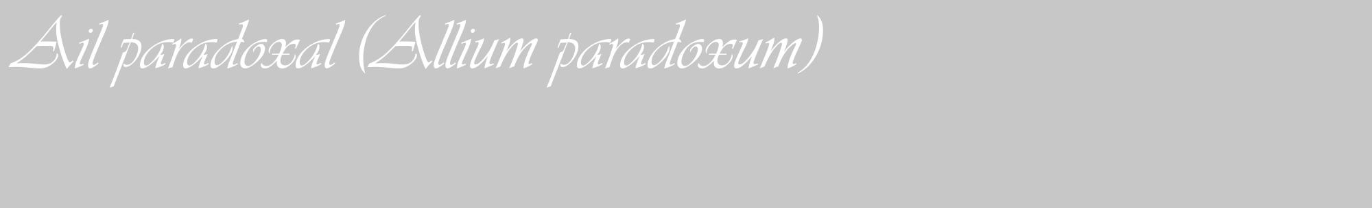 Étiquette de : Allium paradoxum - format c - style blanche15_basique_basiqueviv avec comestibilité