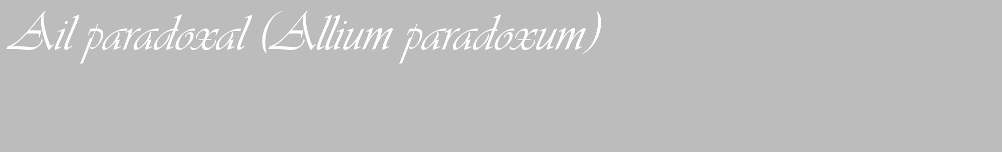 Étiquette de : Allium paradoxum - format c - style blanche1_basique_basiqueviv avec comestibilité