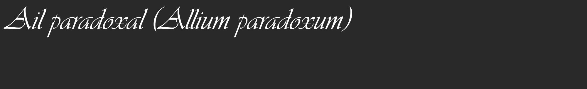 Étiquette de : Allium paradoxum - format c - style blanche34_basique_basiqueviv avec comestibilité