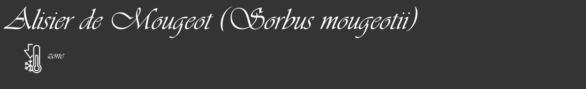 Étiquette de : Sorbus mougeotii - format c - style blanche46_basique_basiqueviv avec comestibilité