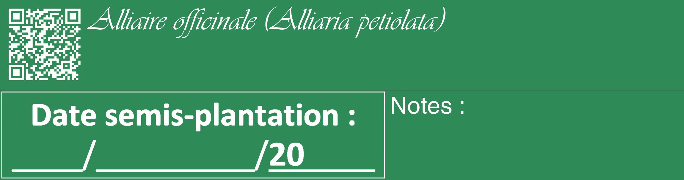 Étiquette de : Alliaria petiolata - format c - style blanche11_basique_basiqueviv avec qrcode et comestibilité
