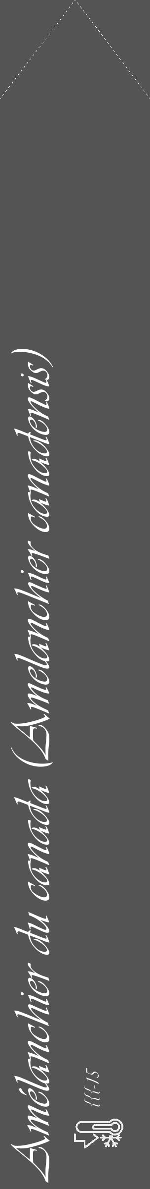 Étiquette de : Amelanchier canadensis - format c - style blanche36_simple_simpleviv avec comestibilité - position verticale