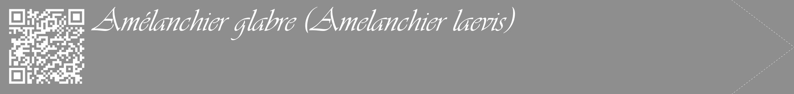 Étiquette de : Amelanchier laevis - format c - style blanche25_simple_simpleviv avec qrcode et comestibilité