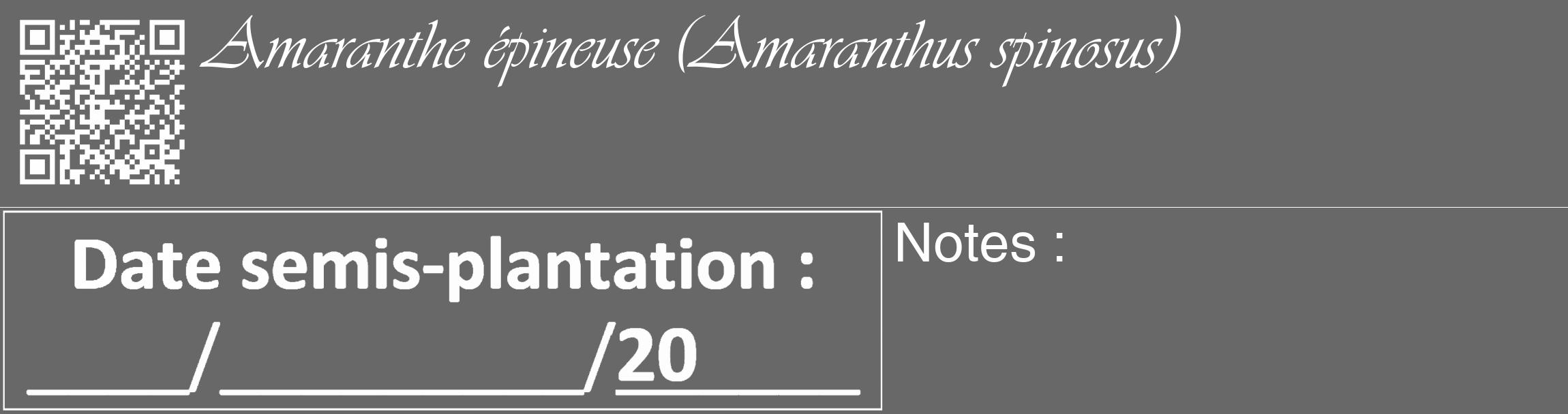 Étiquette de : Amaranthus spinosus - format c - style blanche6_basique_basiqueviv avec qrcode et comestibilité