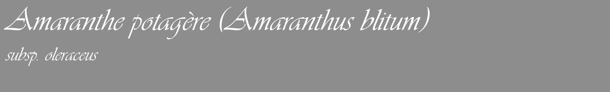 Étiquette de : Amaranthus blitum subsp. oleraceus - format c - style blanche2_basique_basiqueviv avec comestibilité
