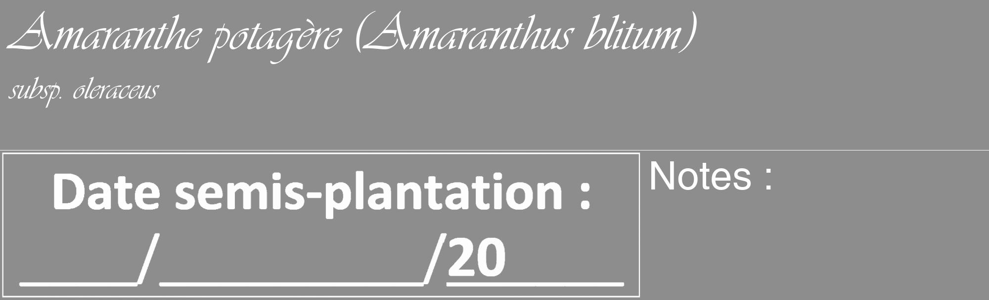 Étiquette de : Amaranthus blitum subsp. oleraceus - format c - style blanche2_basique_basiqueviv avec comestibilité