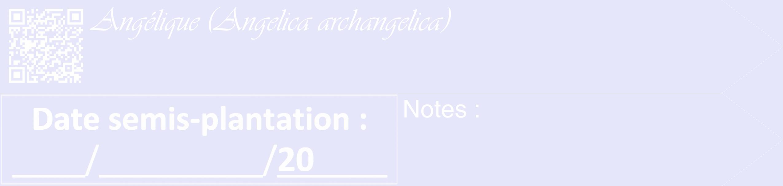 Étiquette de : Angelica archangelica - format c - style blanche55_simple_simpleviv avec qrcode et comestibilité