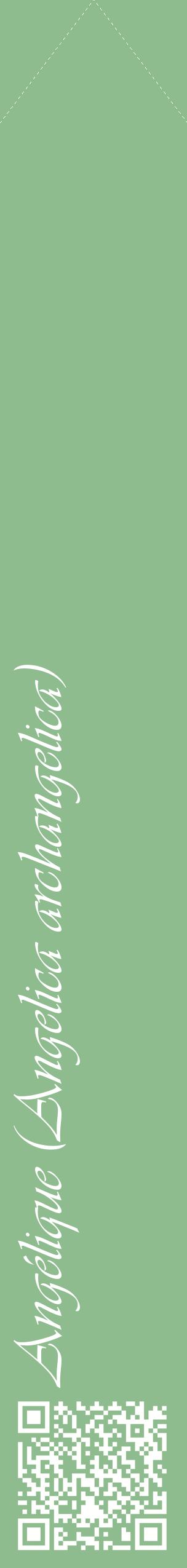 Étiquette de : Angelica archangelica - format c - style blanche13_simpleviv avec qrcode et comestibilité