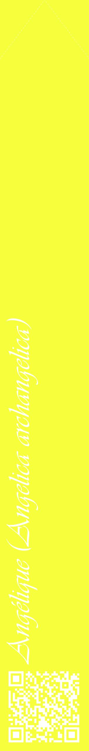 Étiquette de : Angelica archangelica - format c - style blanche18_simpleviv avec qrcode et comestibilité